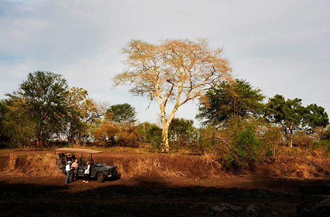 Wildlife Lodges