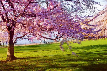 Spring – Be Healthy