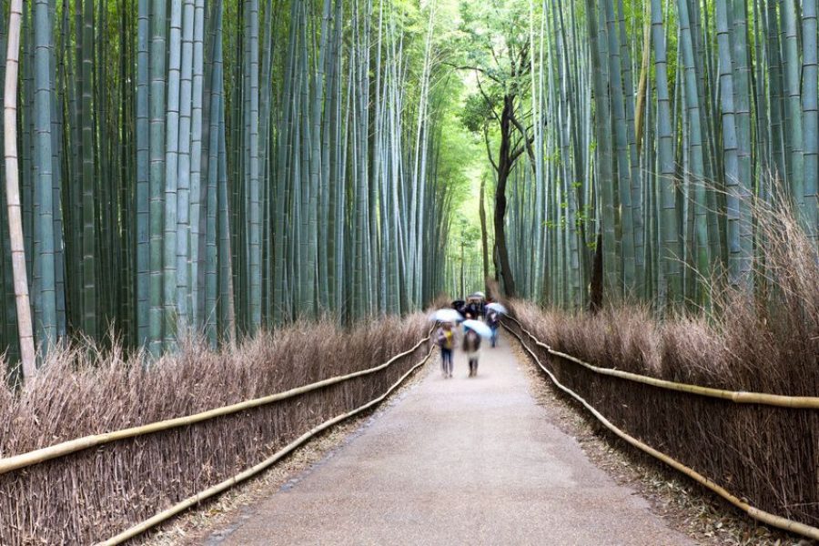 Kyoto, Japan: the True-blue experience