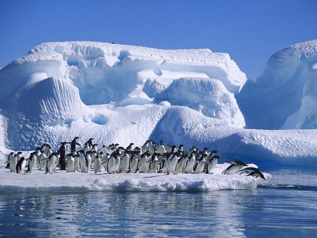 Every explorer’s dream- The “White Continent” Antarctica