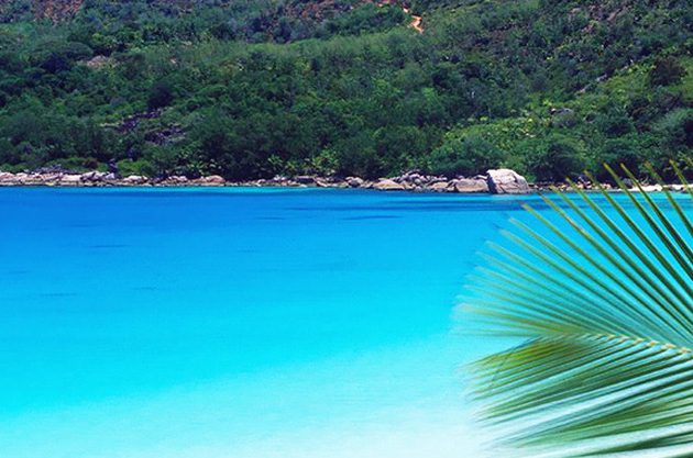 Prestine White Sandy Beach Seychelles