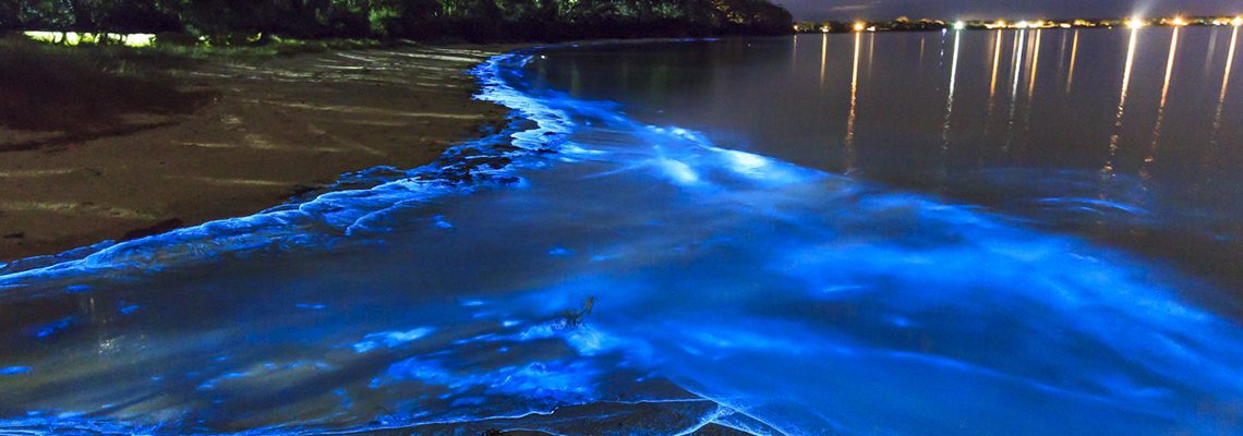 The Beach of Stars in Maldives