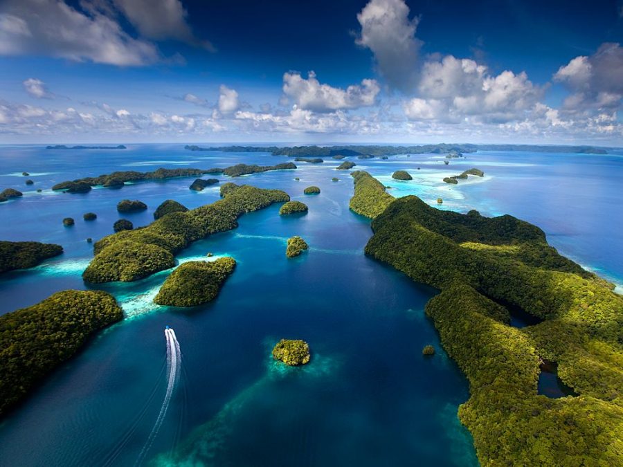 The Magical Palau