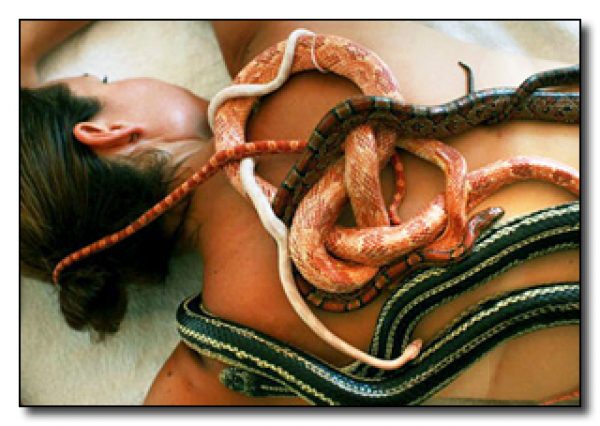 The Luxurious Snake ‘Ssspa Treatment’