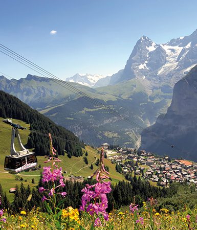 The View of the Jungfrau region