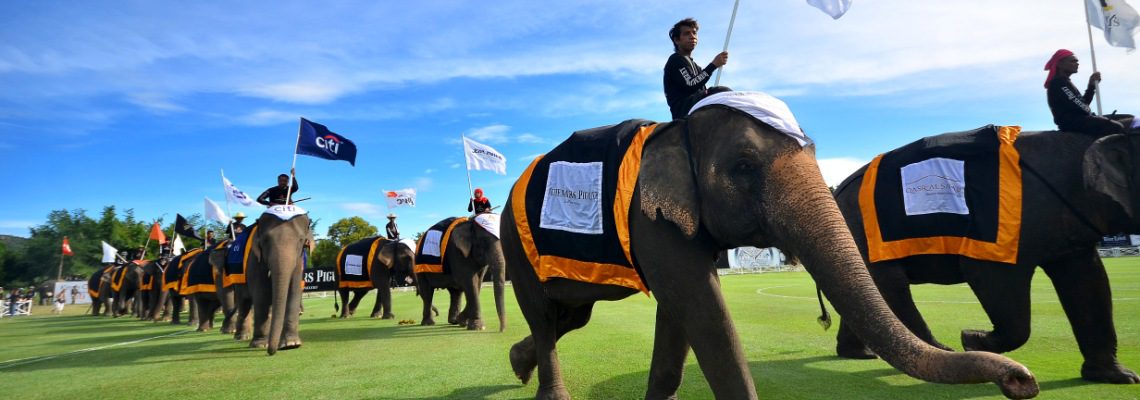 Anantaras Kings Cup Elephant Tournament 2016
