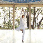 India Ananda yoga at the Hawa Mahal