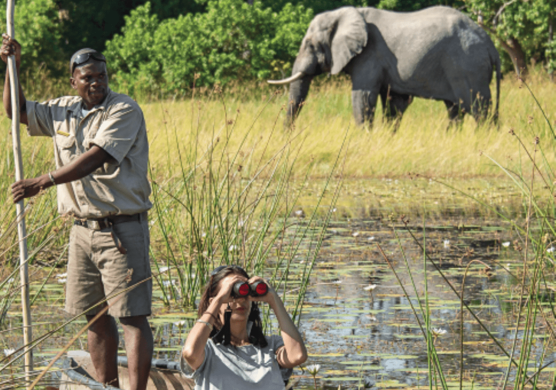 Exploring Southern Africa