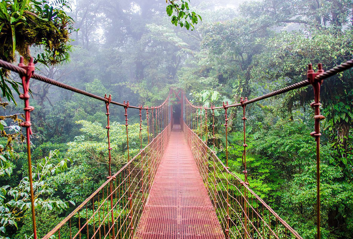 Three views of Costa Rica: city, rain forest & beach