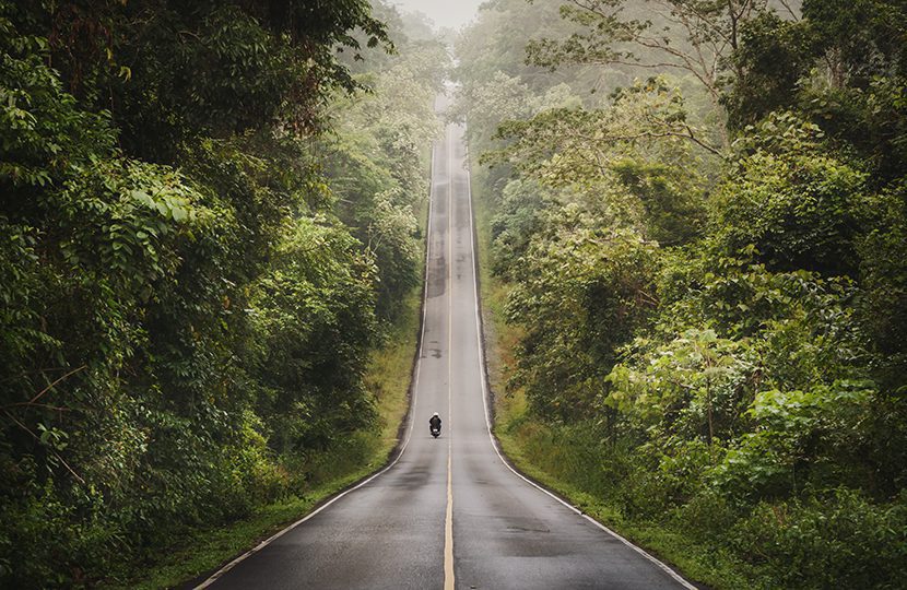 Khao Yai Thailand’s coolest resort