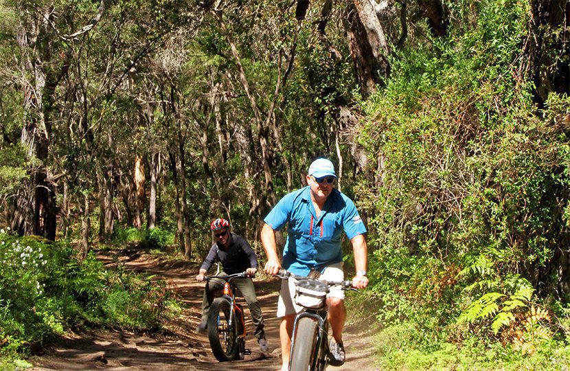 Ride a ‘fat bike’ through coastal forests.