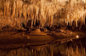 Explore the cool subterranean world