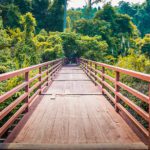 Walk the trails of Khao Yai National Park.