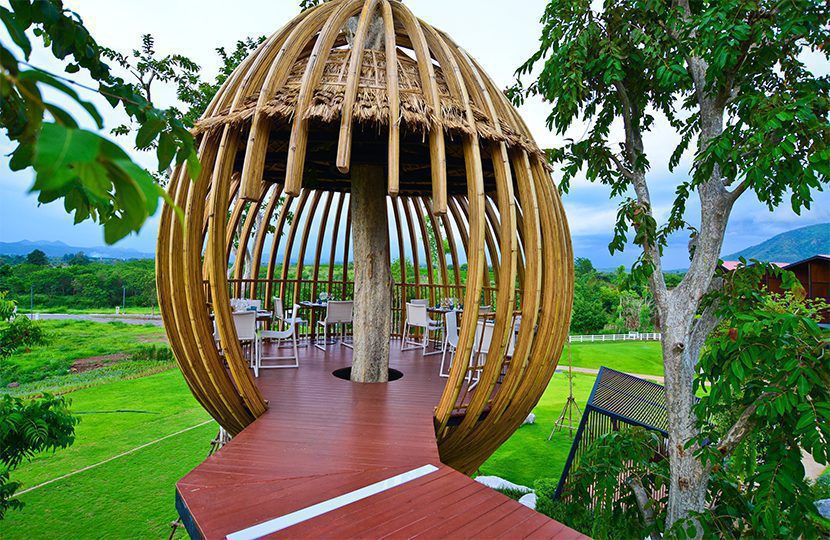 Tree House Pictures With Two Rooms Tree House Pictures With Two Rooms