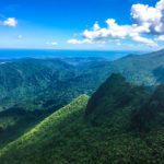 A mystery-filled wonderland The Dwarf forest, Puerto Rico