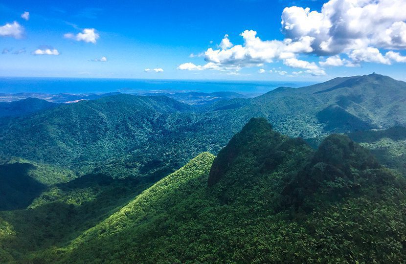 A mystery-filled wonderland The Dwarf forest, Puerto Rico