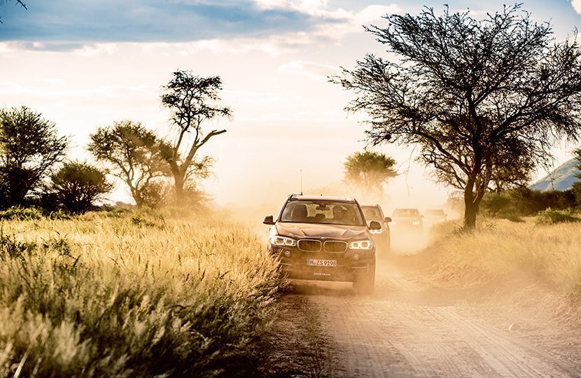 BMW X5 ultimate safari in Namibia, driving through bushveld in a reserve