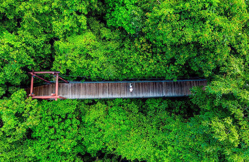 Footbridge at the Intercontinental Samui