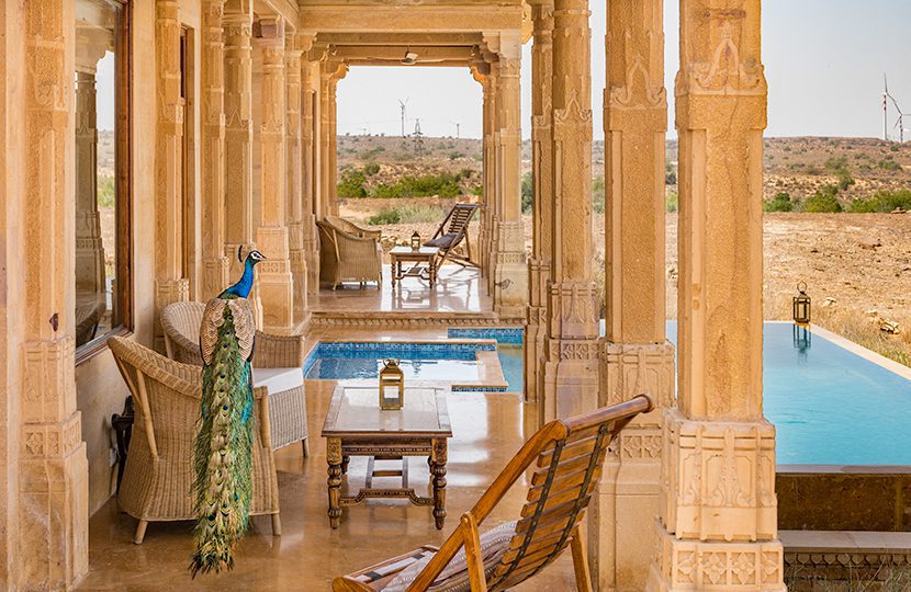 Peacocks are regular visitors at Suryagarh