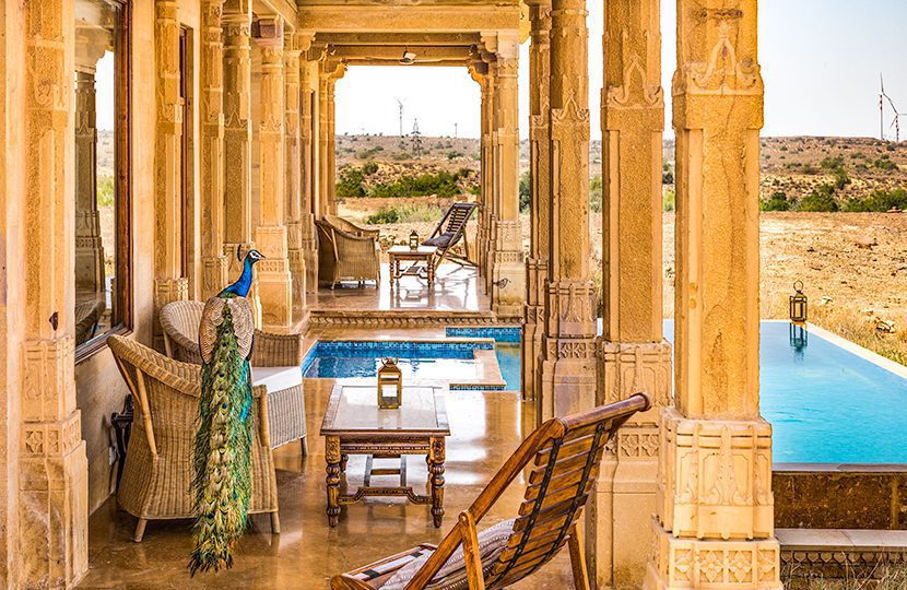 Peacocks are regular visitors at Suryagarh