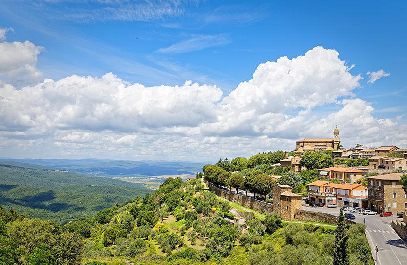 Panorama of Montalcino in Tuscany by arkanto