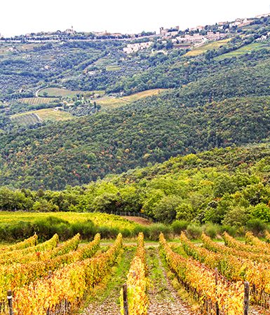 Montalcino is a hill town in Tuscany surrounded by wine estates