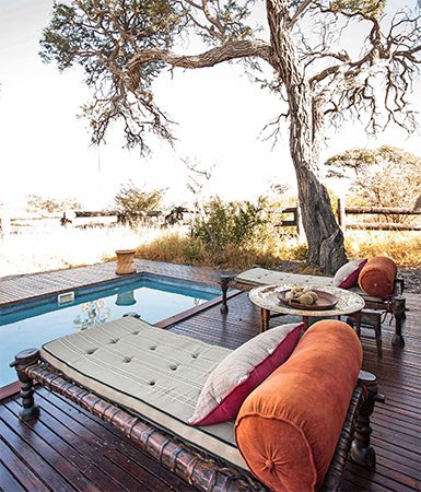 Relax beneath the acacia tree at Camp Kalahari