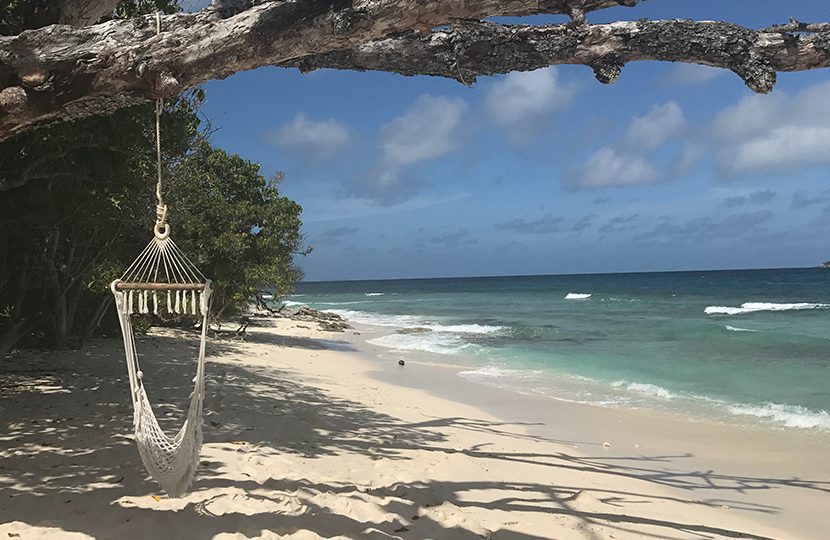 Hammock in a nice shady spot