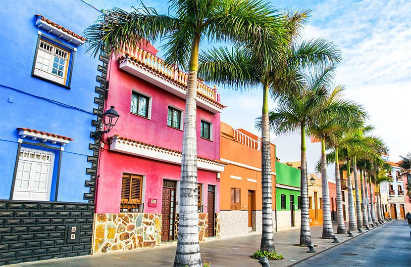 Colourful houses and palm trees on street in Puerto de la Cruz by Olena Tur