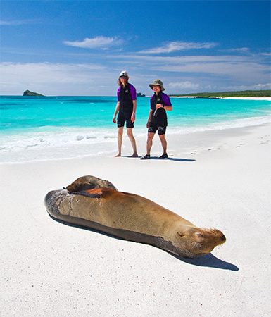 The Galapagos