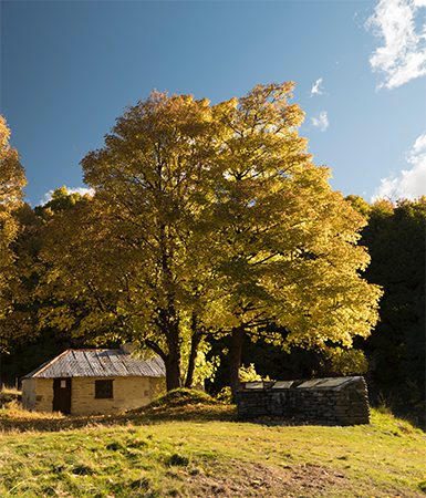 One of the last remaining houses in gold mining settlement Macetown