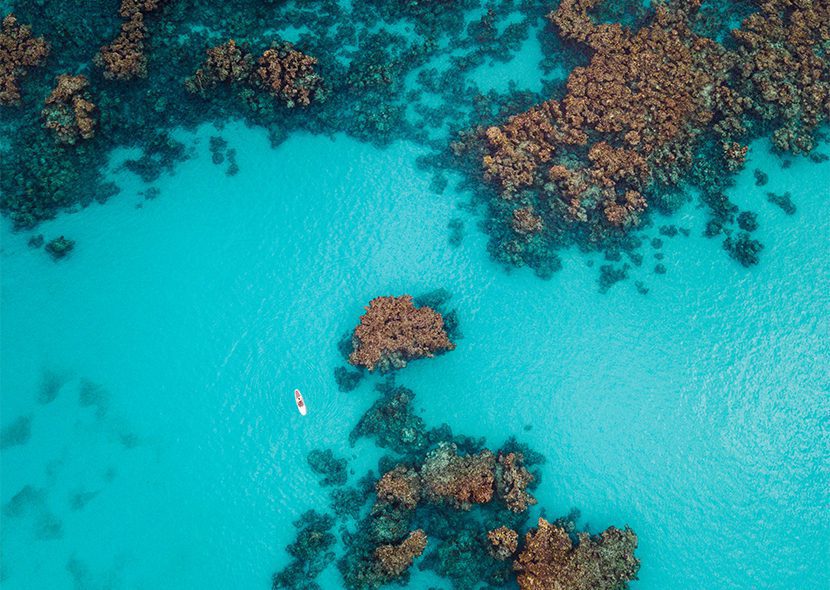 Aerial view of the reef just off the Ocean View