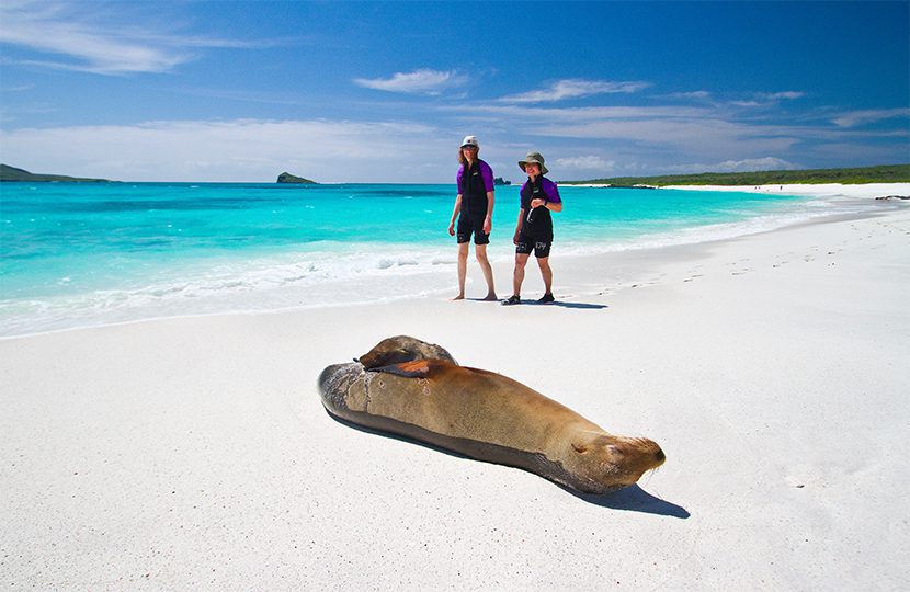 Amongst wildlife and azure setting, The Galapagos