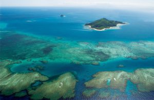 The reef system around Castaway Island in the Mamanuca Islands, Fiji
