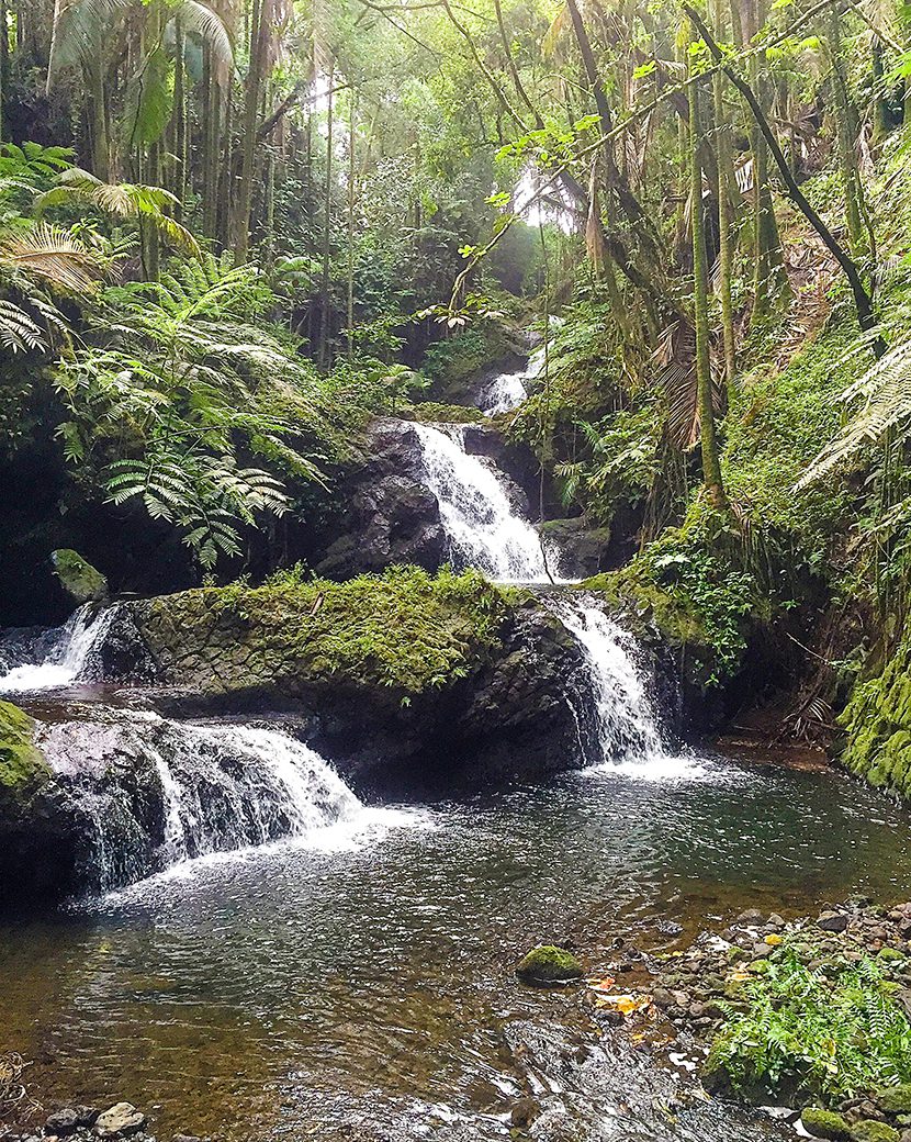 The Hawaii Tropical Botanical Garden showcases waterfalls