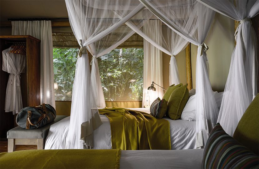A tented oasis deep in the impenetrable Bwindi Forest