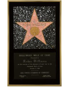 Hollywood Walk Of Fame Star