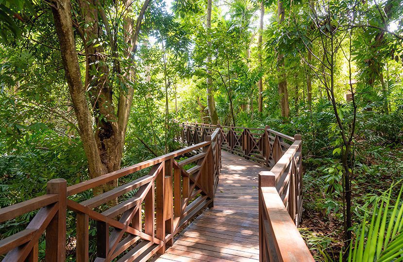 Villa Samadhi Jungle Walkway