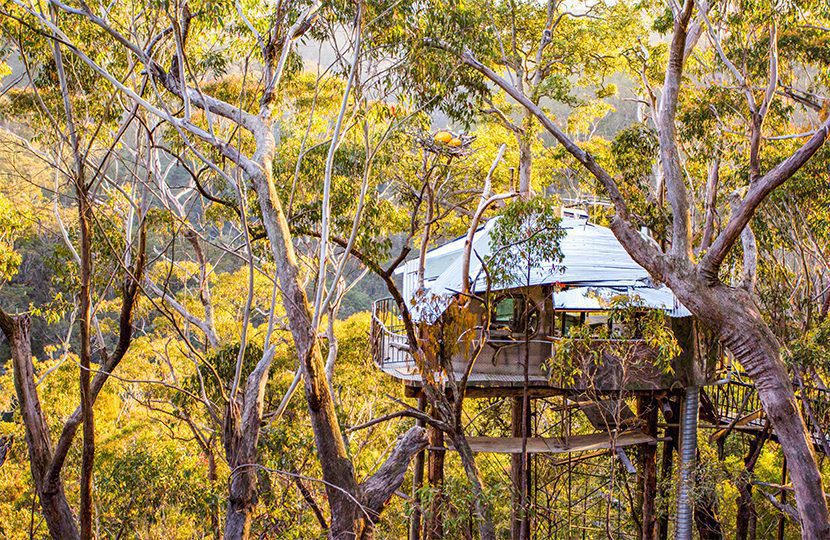 Wollemi Wilderness Treehouse watch meteor showers from your bed deep in the Blue Mountains