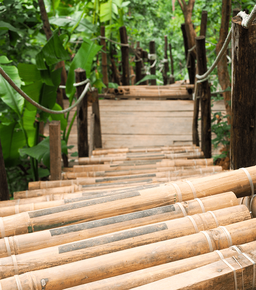 your stay at the Birdhouse starts with a 187 stair climb, but don’t worry, the view is worth every step