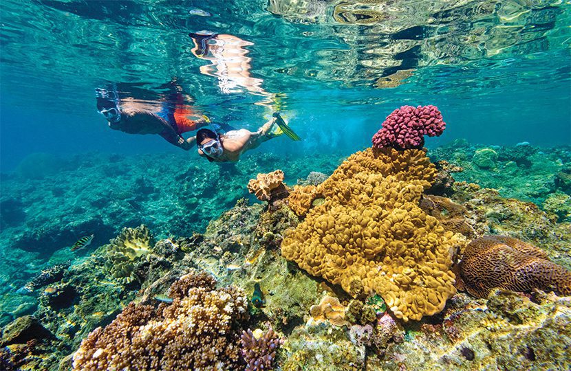 Couple snorkelling near coral head