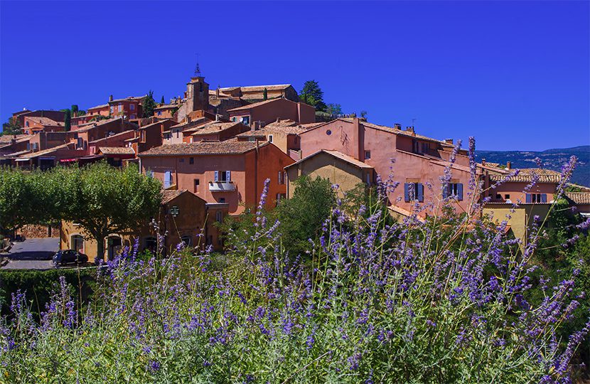 Lavender fields near Village of Roussillon