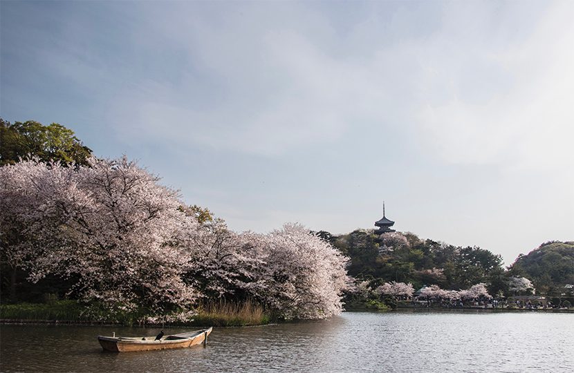 Yokohama