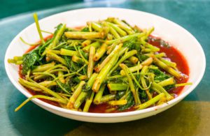 A dish of morning glory