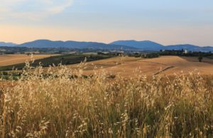 Roadside view near Perugia