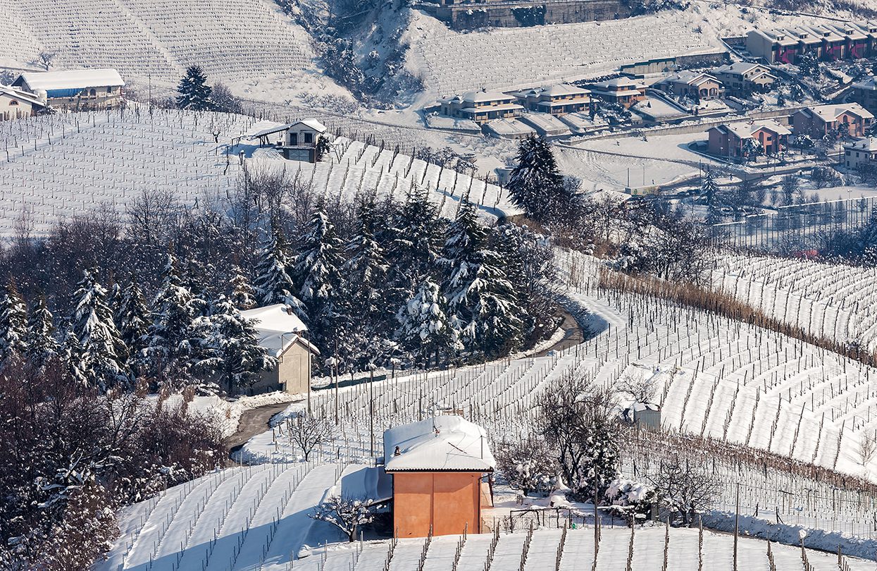 Small rural house on snowy winter hill among vineyards in Piedmont by Rostislav Glinsky