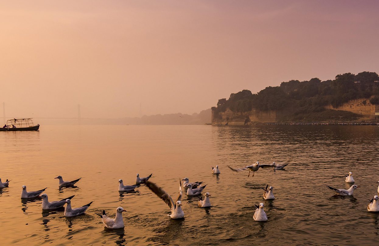 Kumbh Mela Witness mesmerising views alongside the ghats in Prayagraj