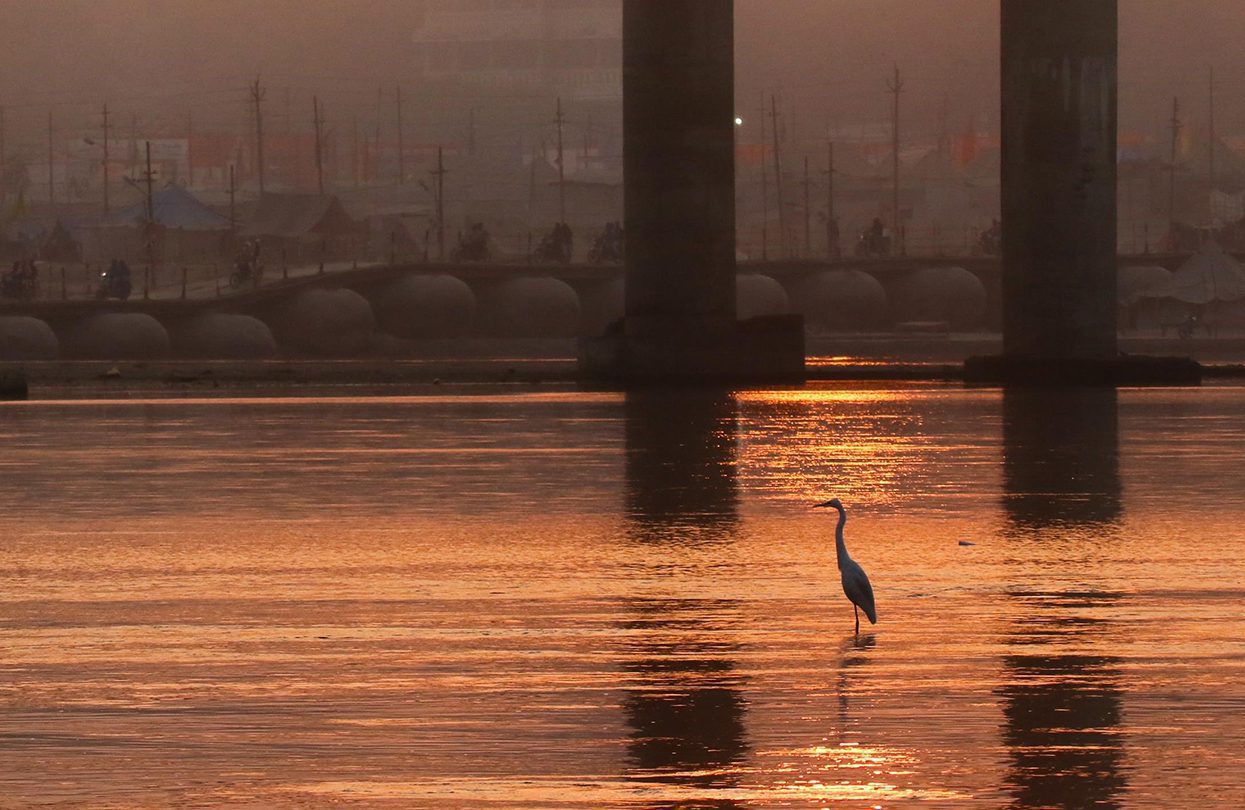 Kumbh Mela Experience the majestic mornings at Prayagraj