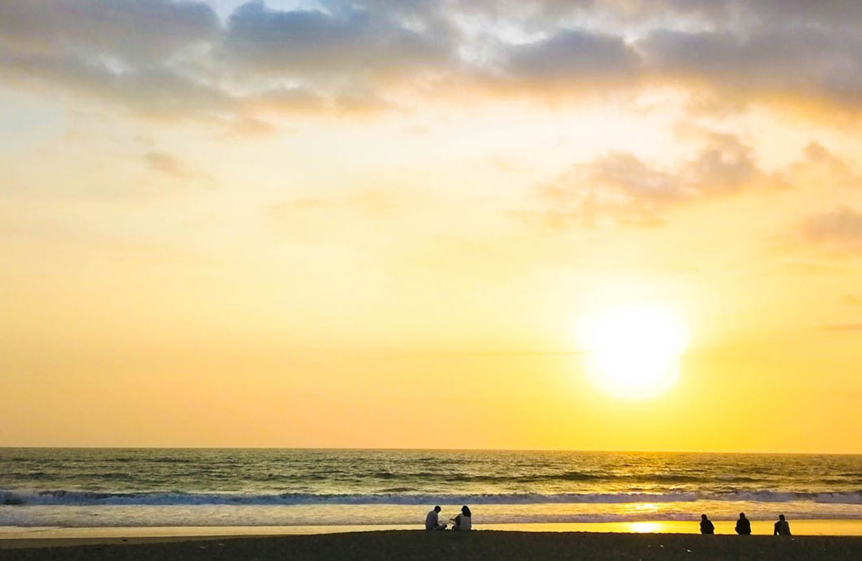 Learn How To Surf, Dive & Conserve Marine Life At The Eclectic New