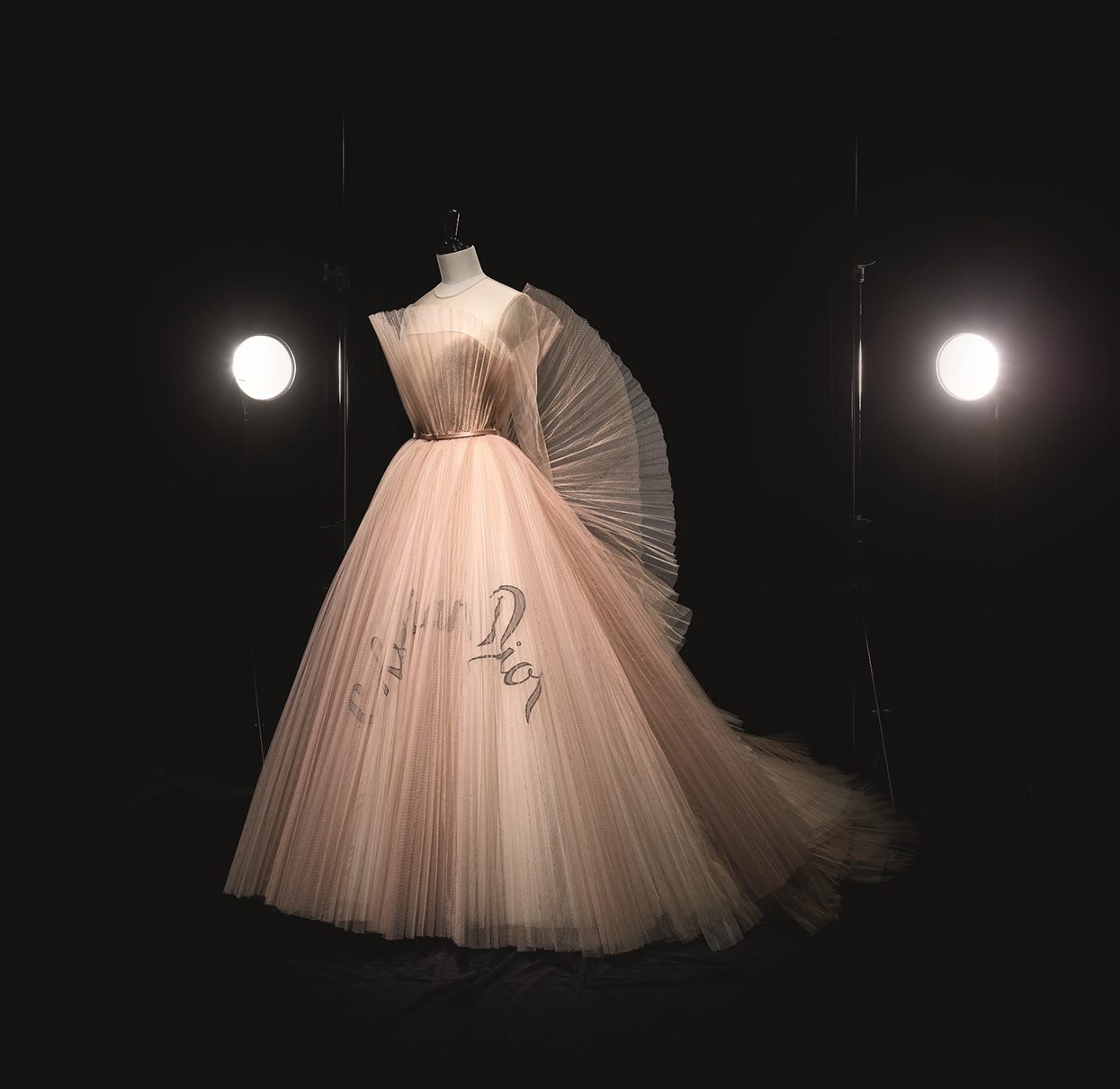 The Dior by Maria Grazia Chiuri Eventail de vos hasards Dress